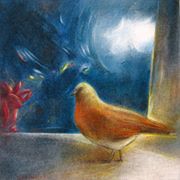 /album/galleria-foto-sezione-quadri/vccello-al-balcone-olio-sv-cartoncino-cm-30x30-2009-jpg/